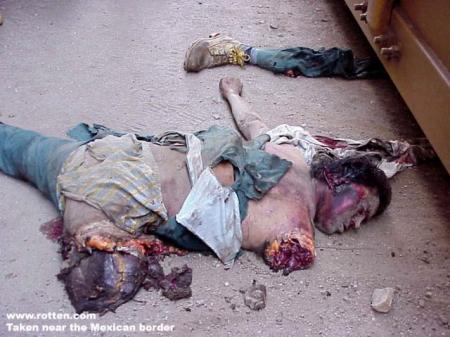 � al irhab � par torres-joe